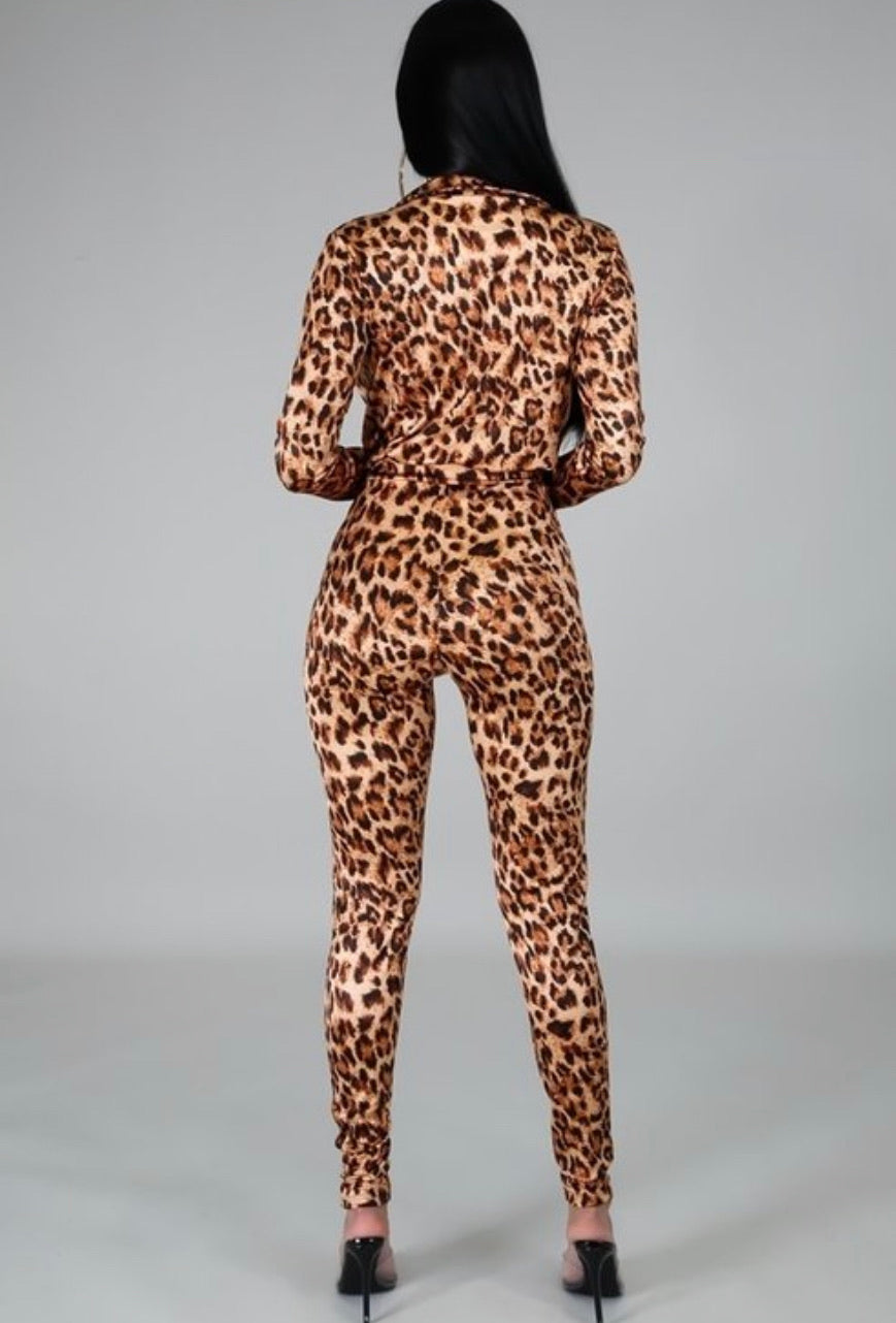 Leopard On Leopard
