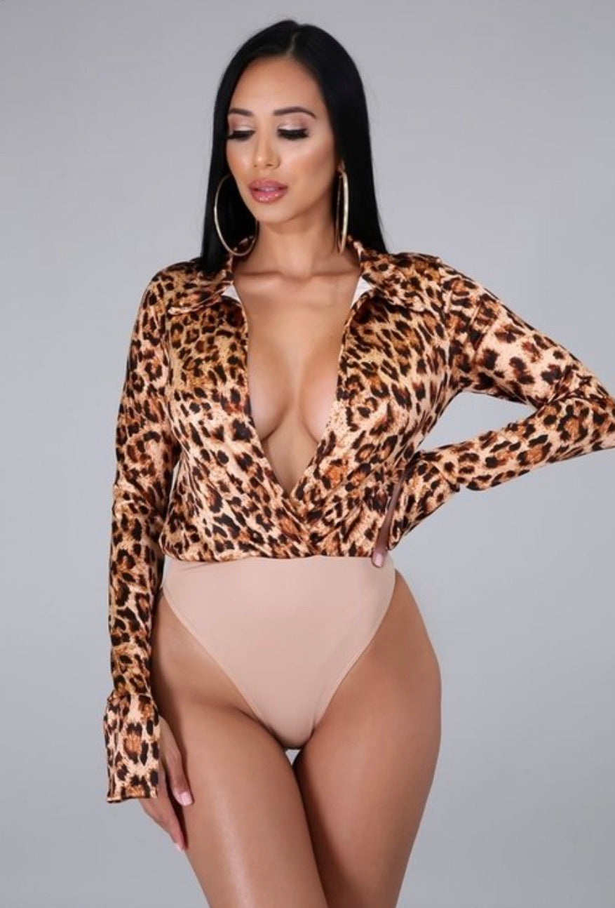 Leopard On Leopard