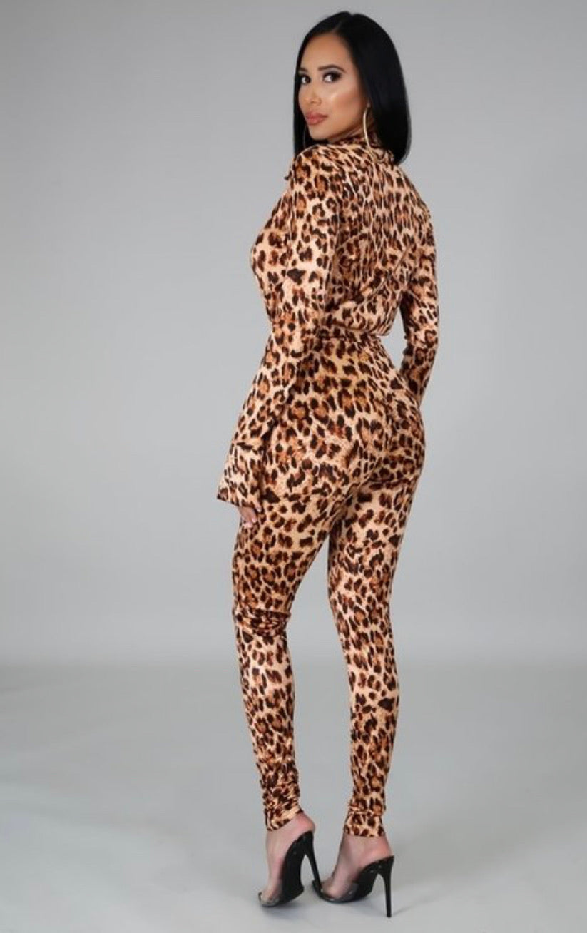 Leopard On Leopard